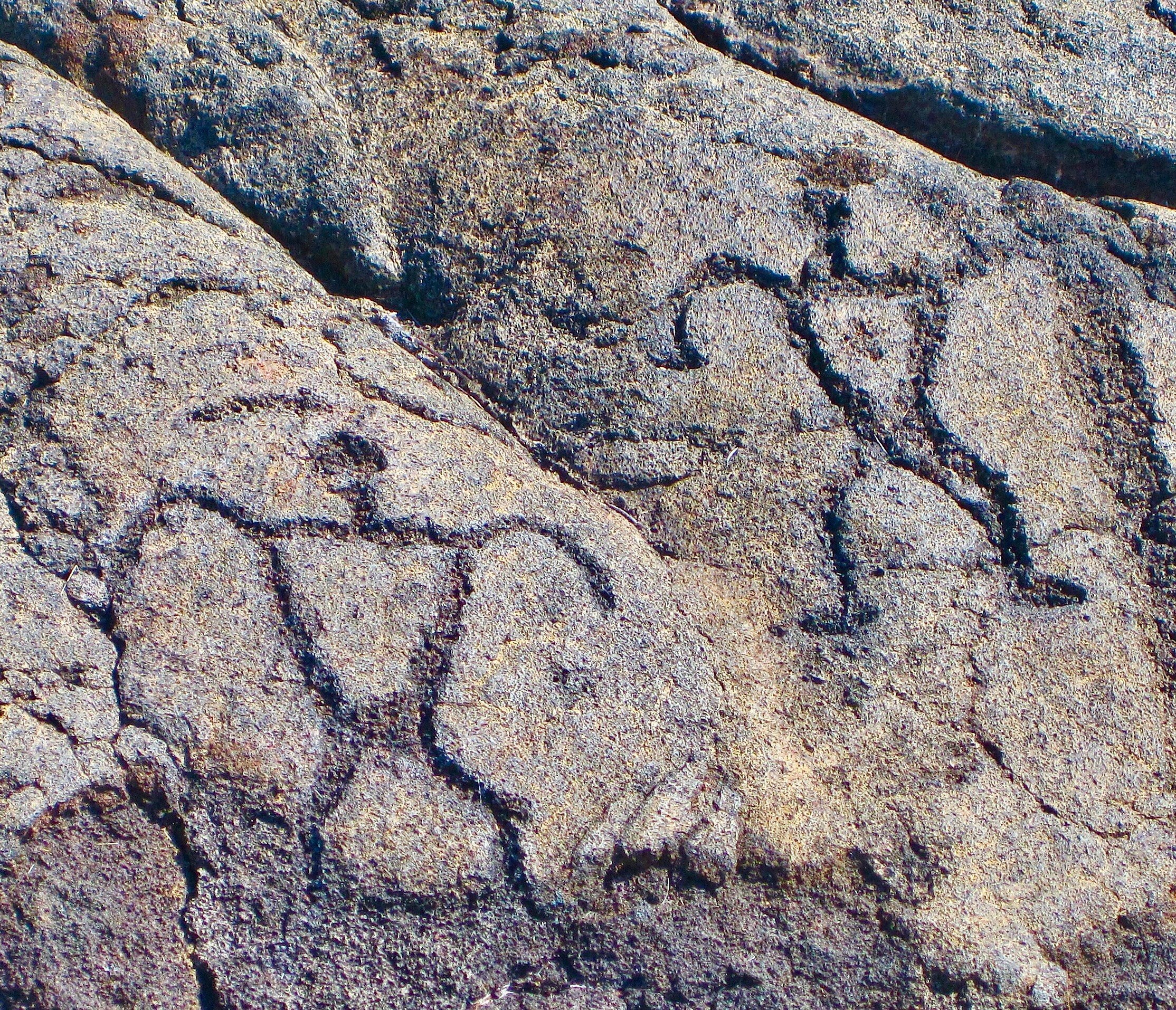 #38 Hawaii Volcanoes National Park