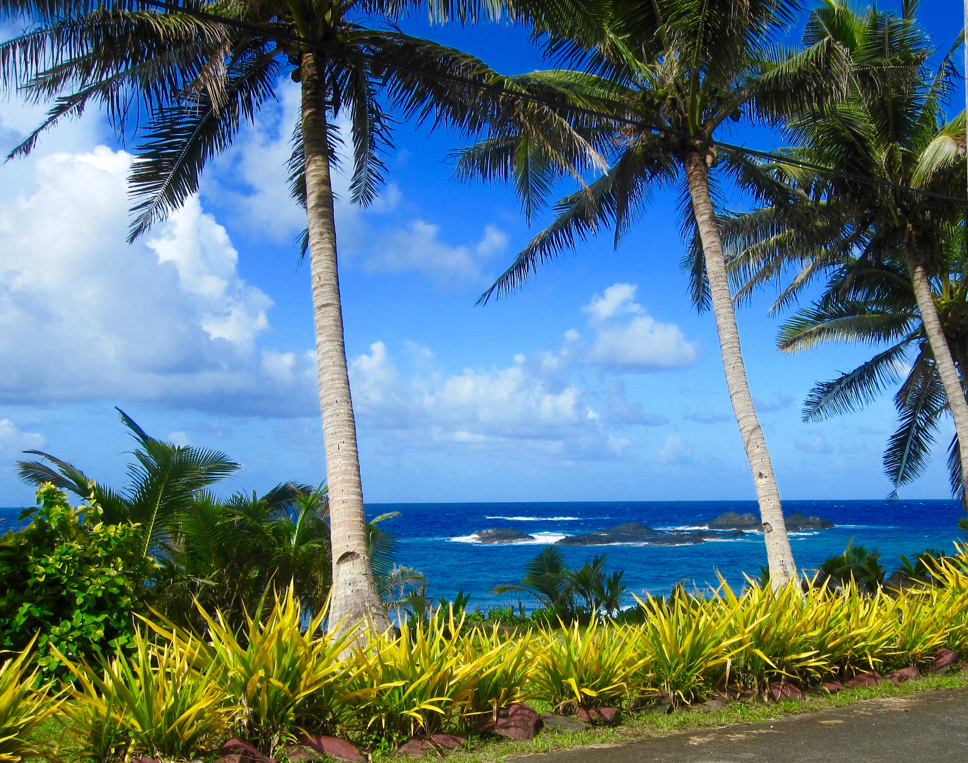 #37 National Park of American Samoa