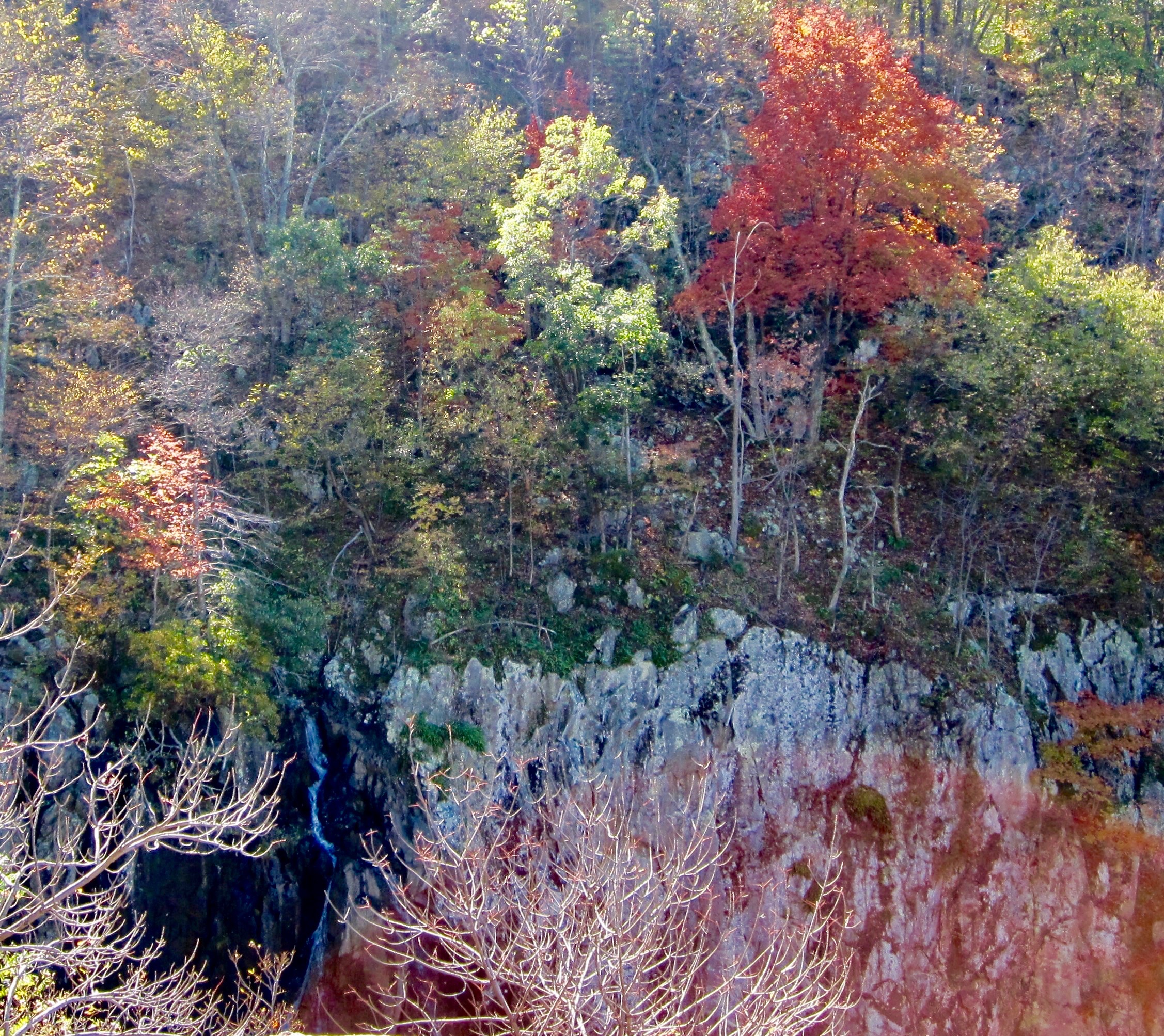 #29 Shenandoah National Park