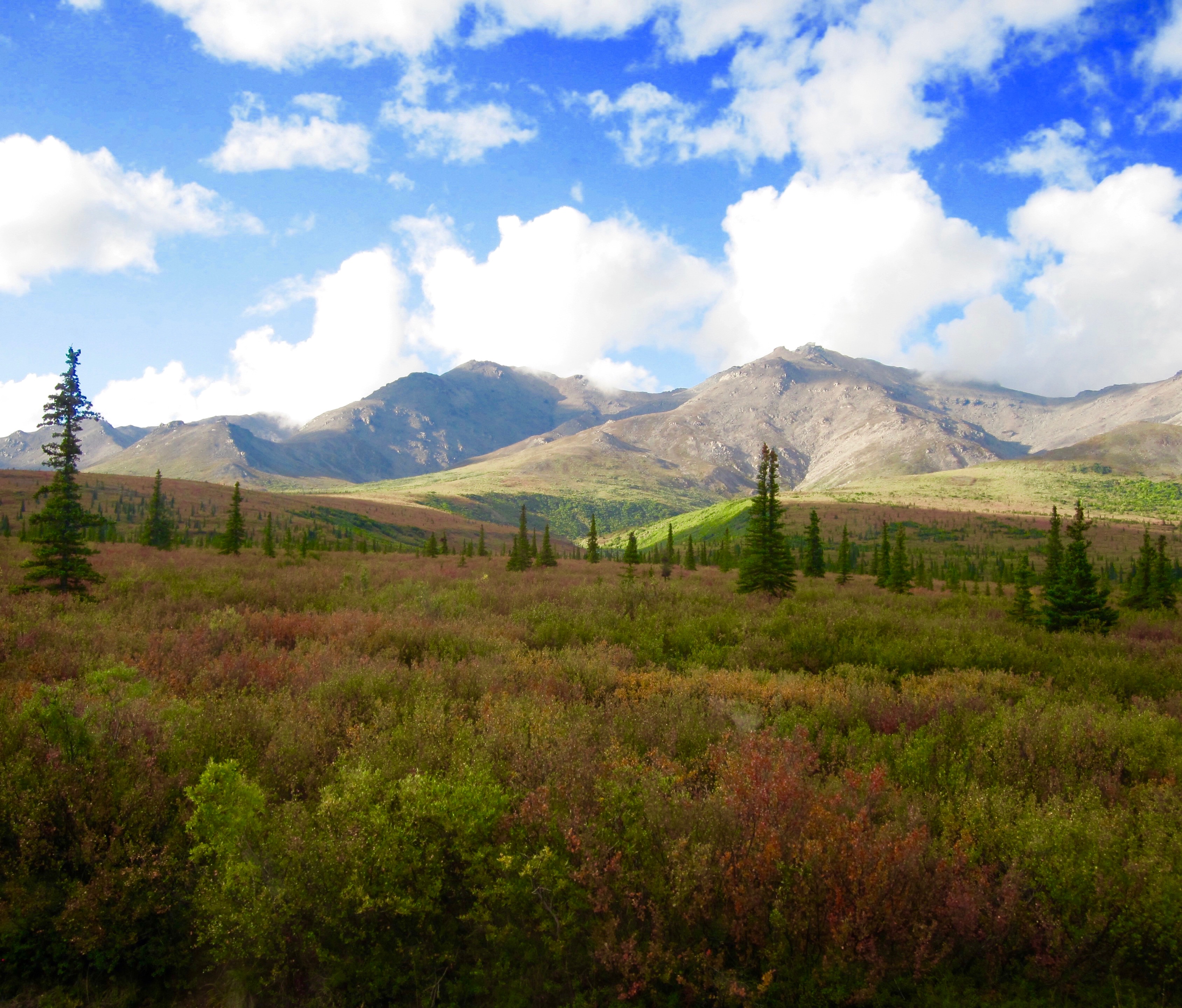 #13 Denali National Park