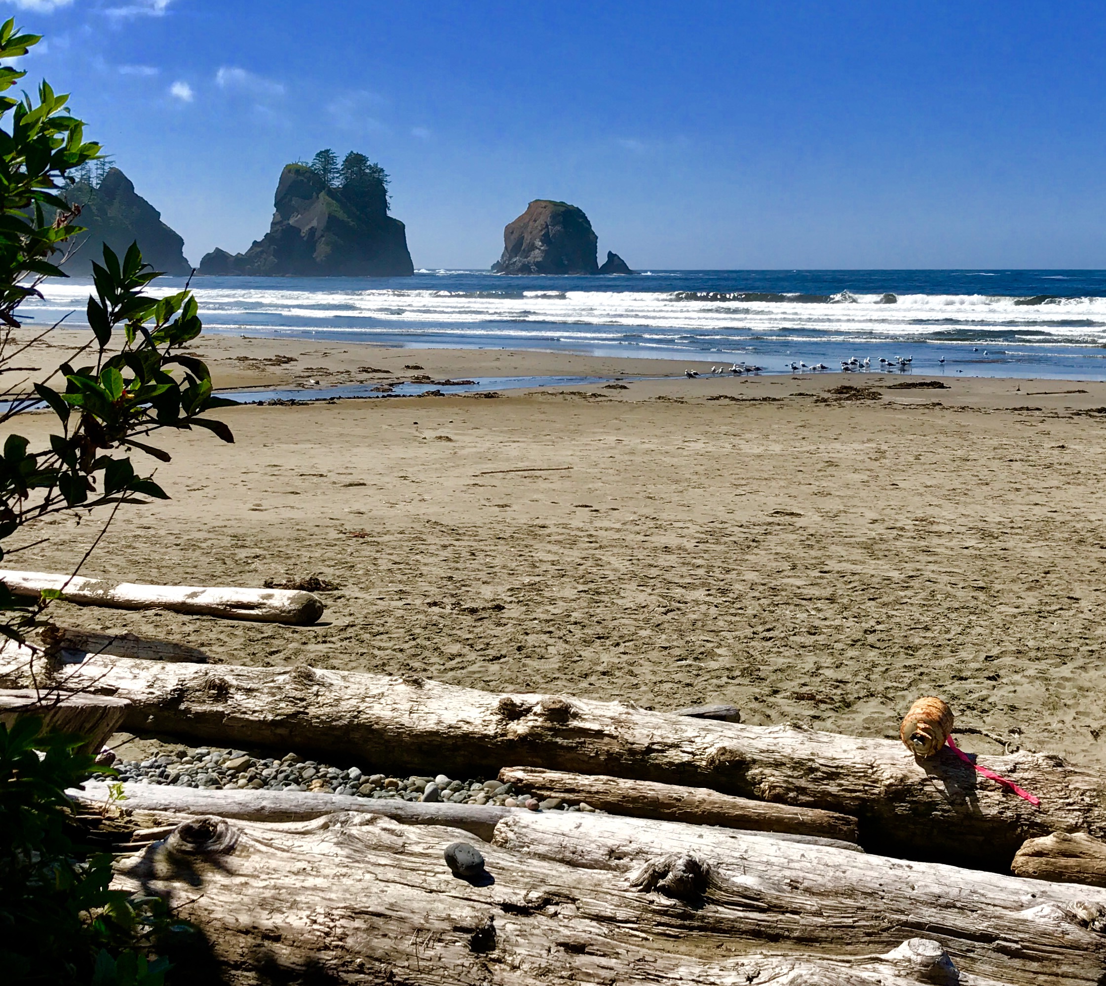 Olympic National Park