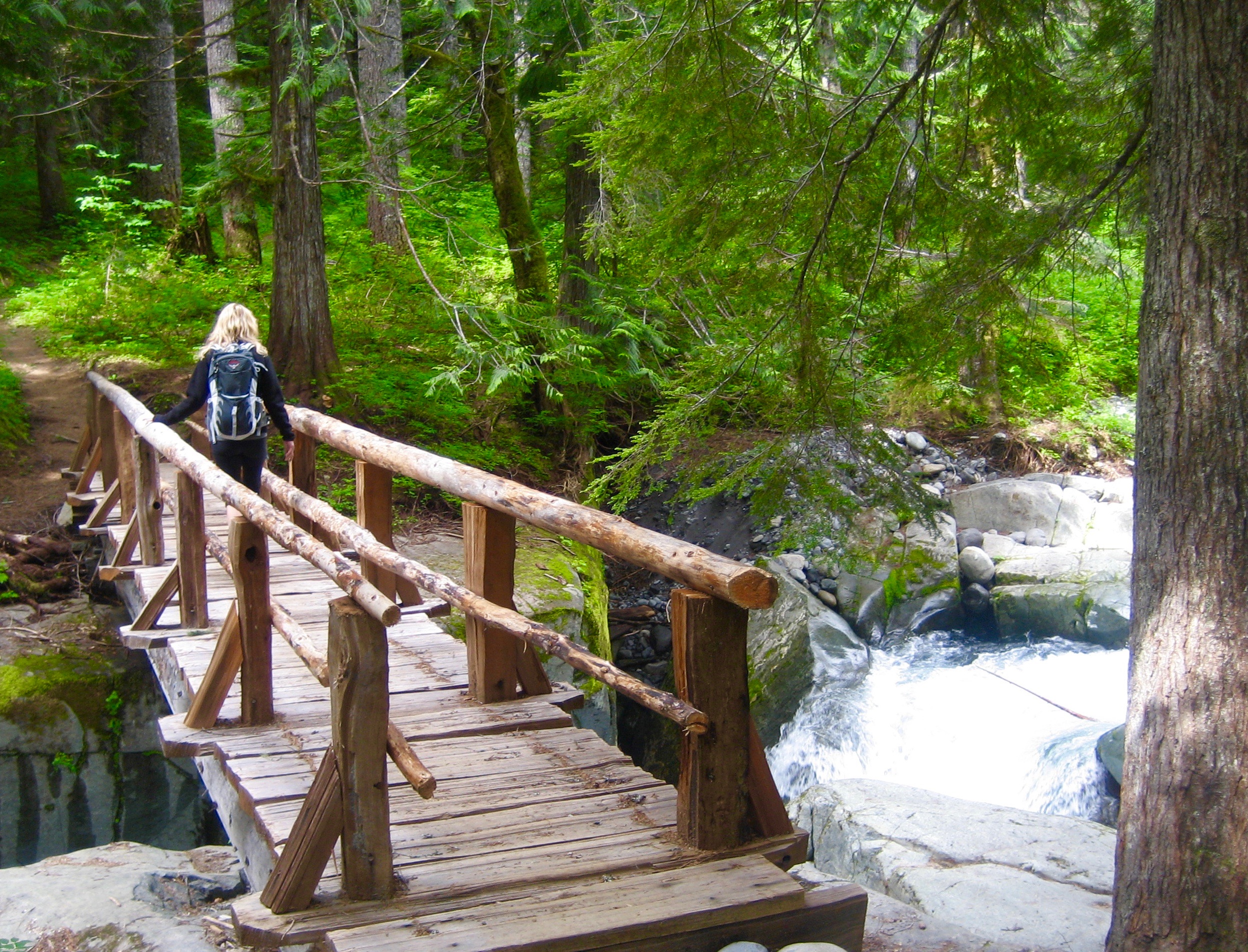 #3 Mt. Rainier National Park