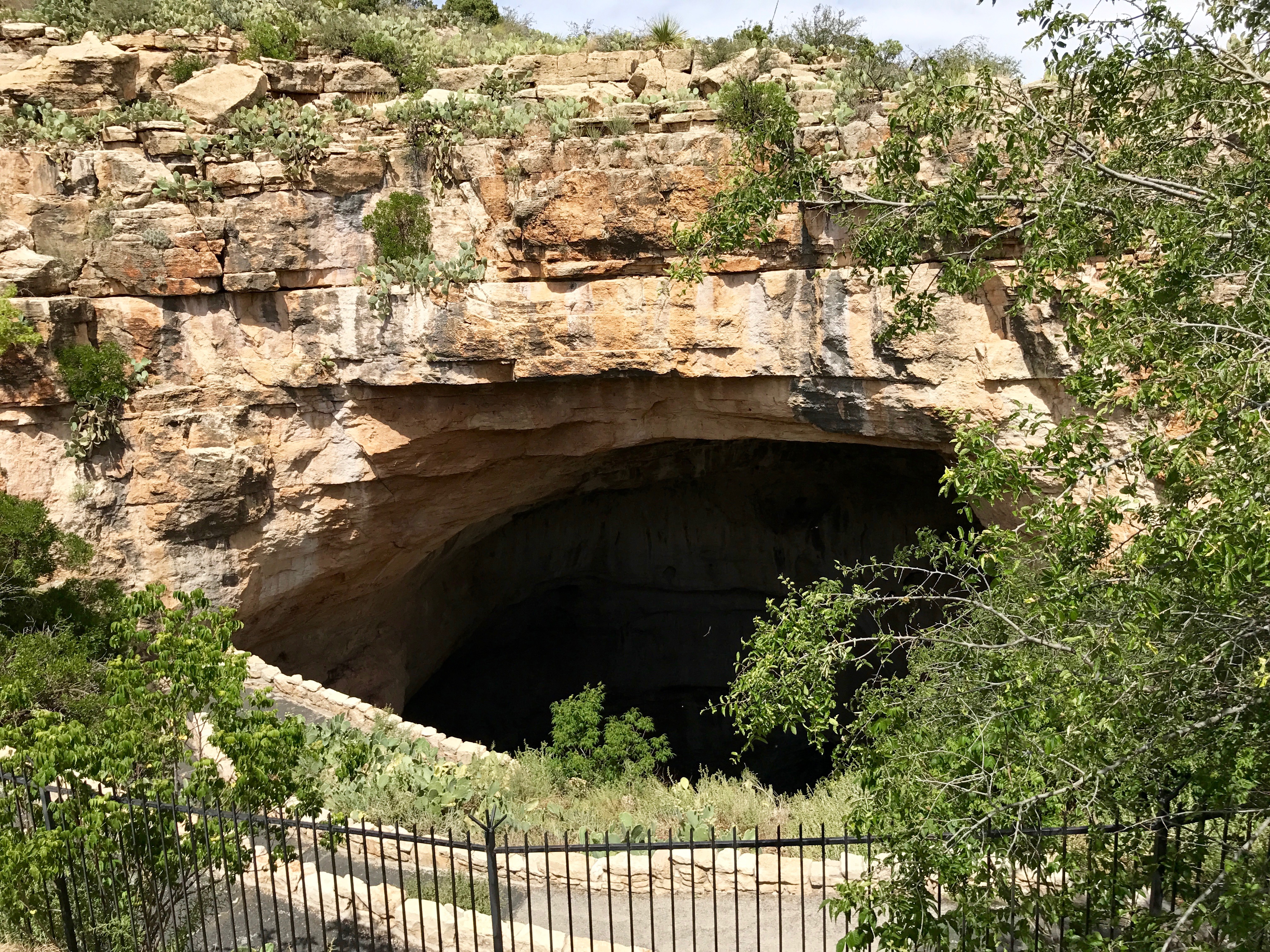 Carlsbad Caverns Nat'l Park