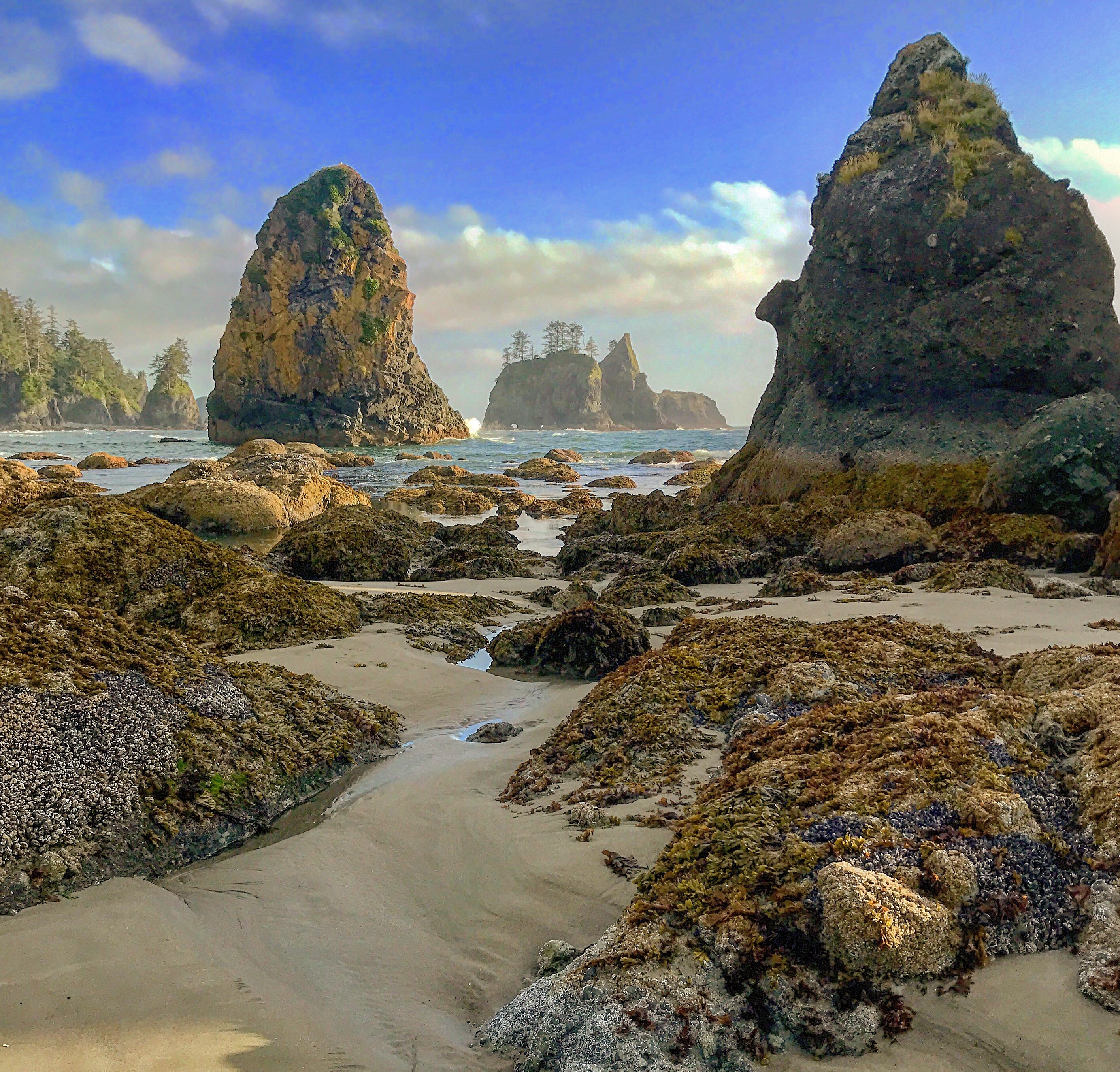 Olympic National Park