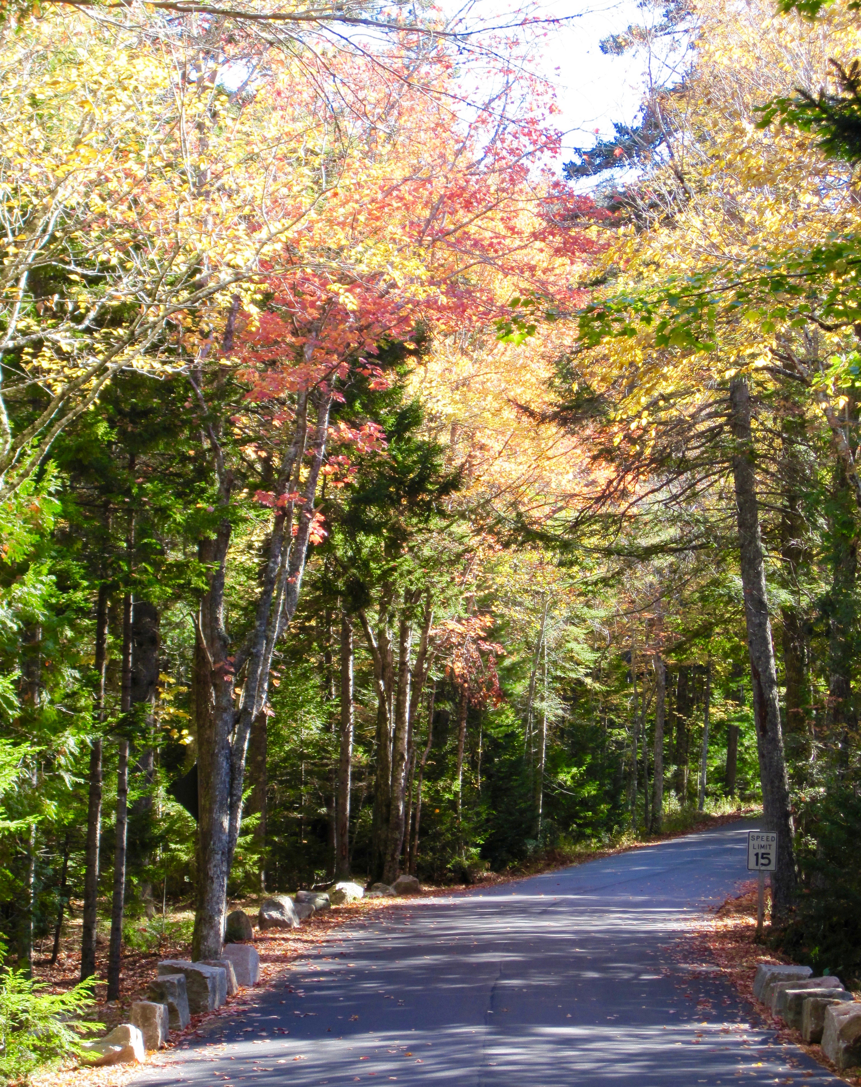 #28 Acadia National Park