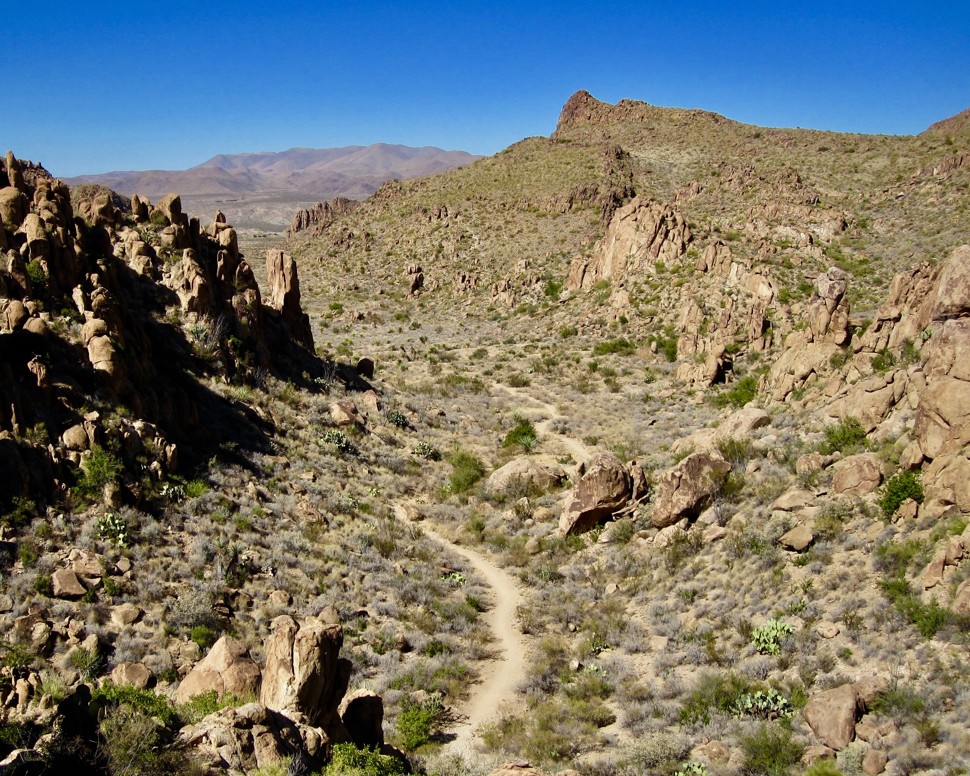 #32 Big Bend National Park