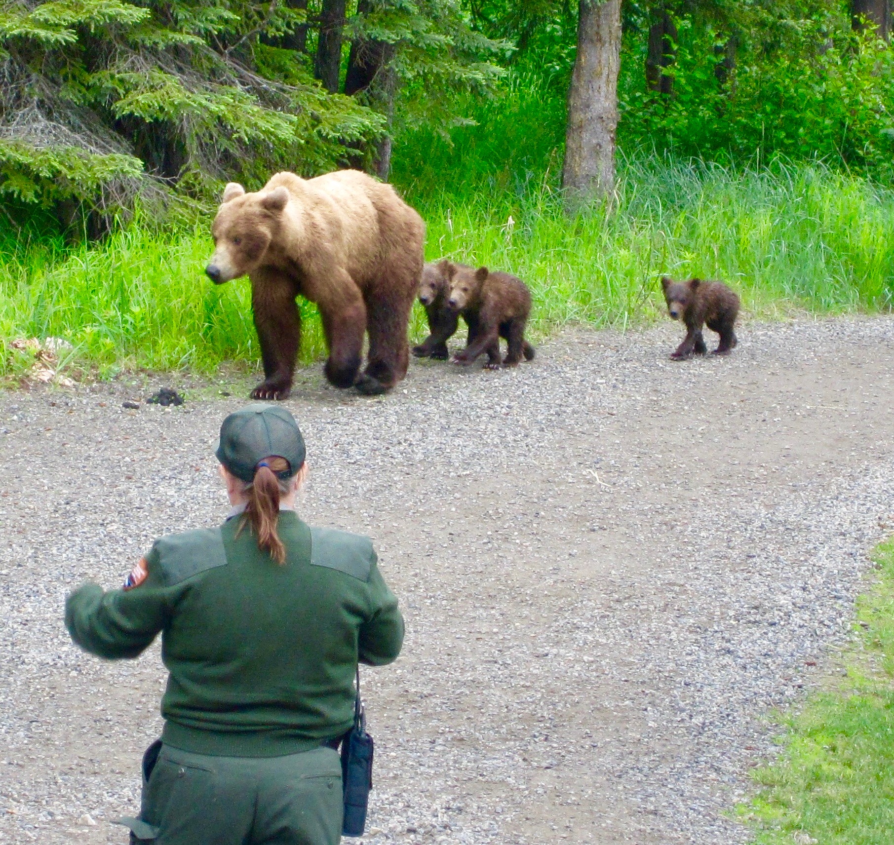 #50 Katmai National Park