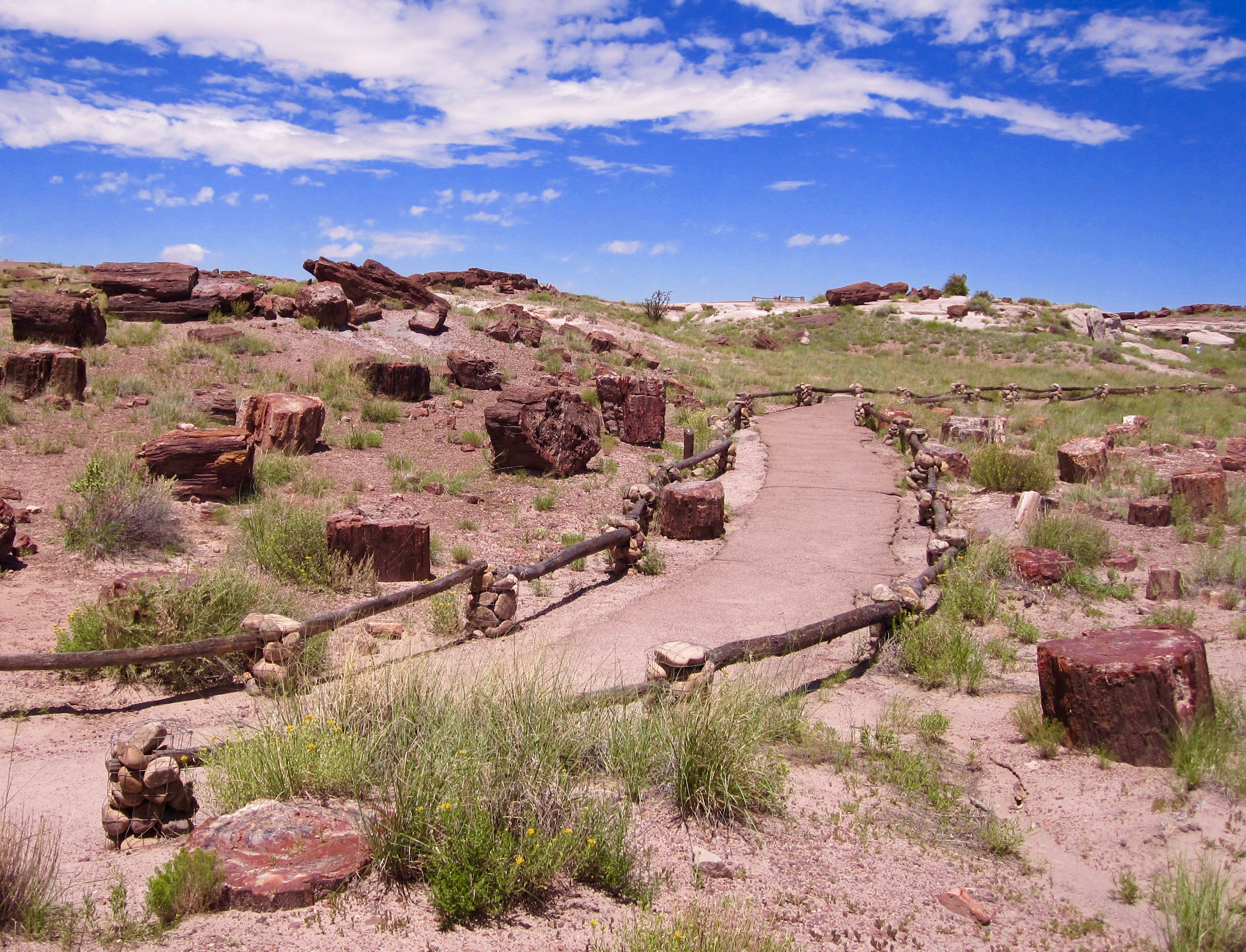 #9 Petrified Forest National Park