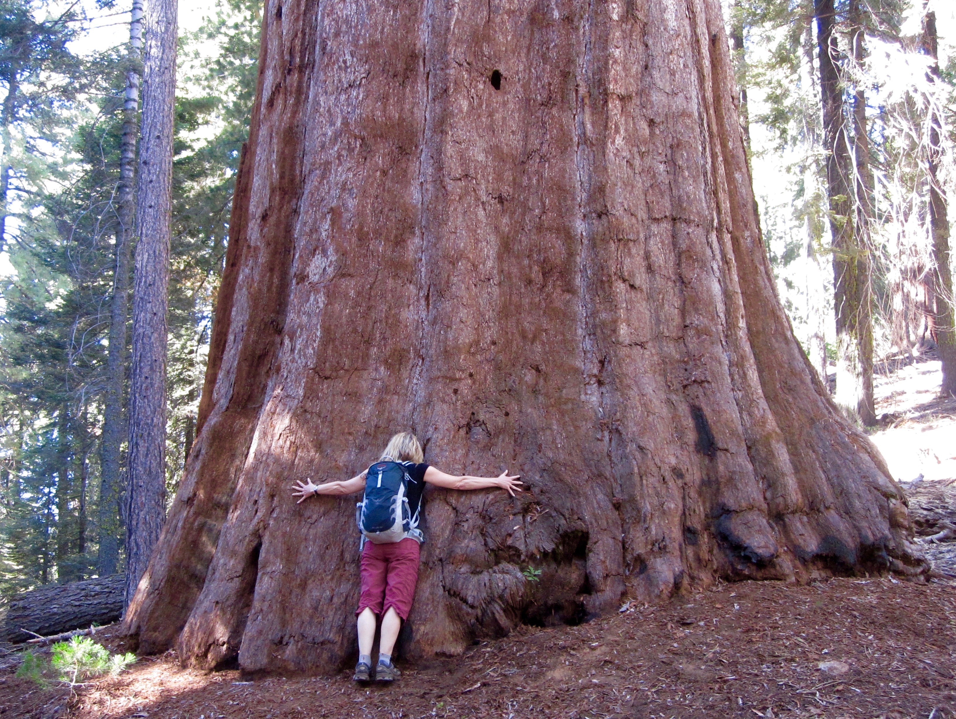 #19 Kings Canyon National Park