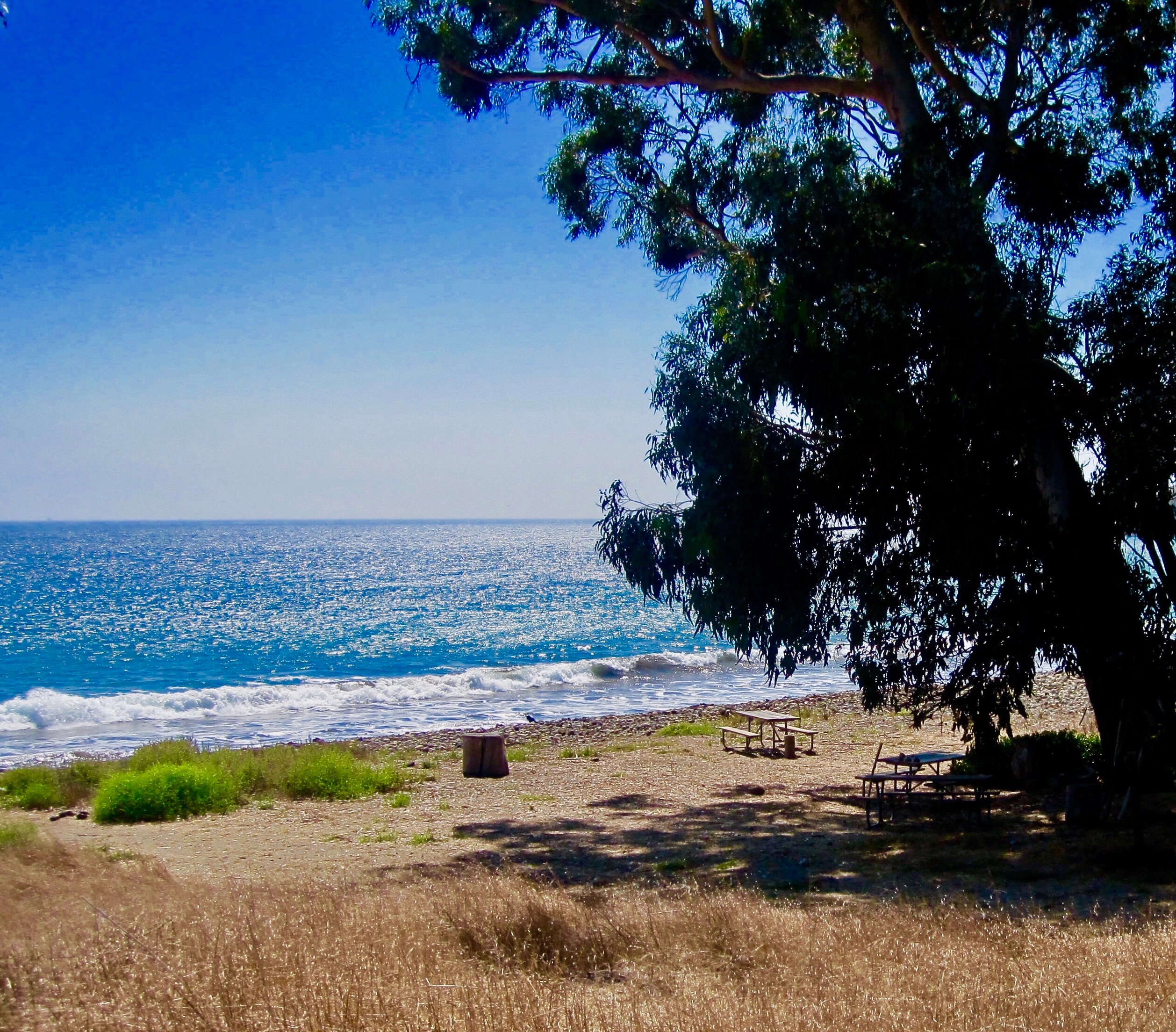 #55 Channel Islands National Park