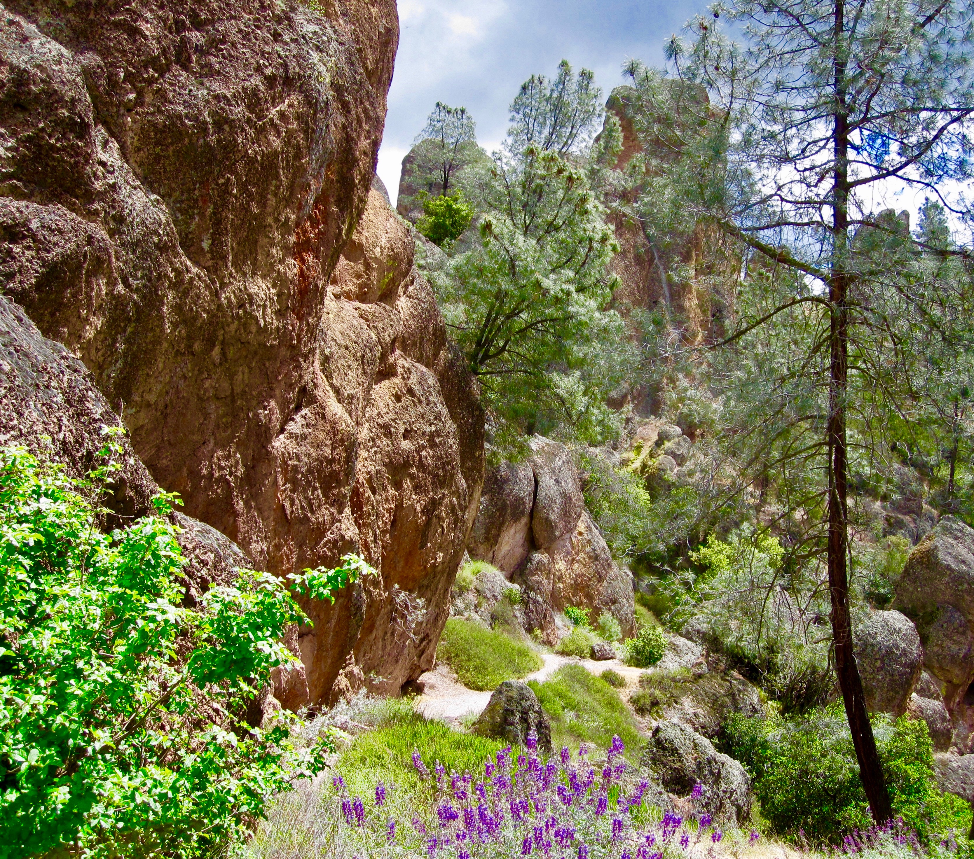 #59 Pinnacles National Park