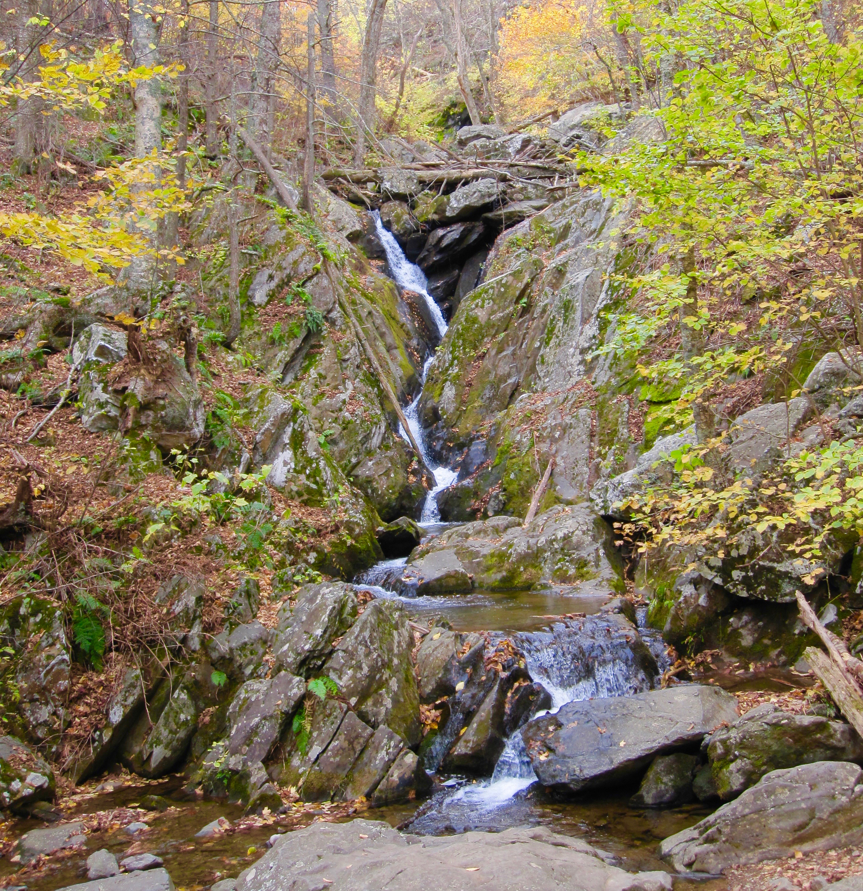 #29 Shenandoah National Park
