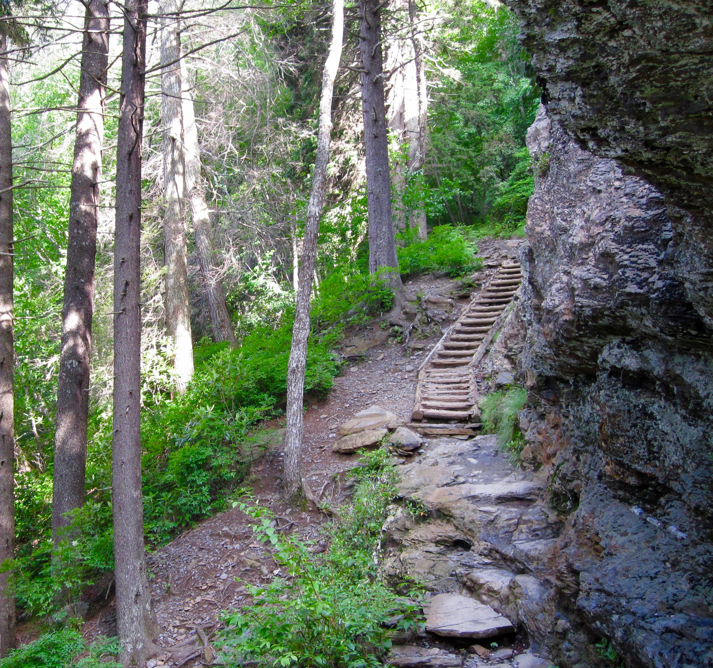 #48 Great Smoky Mountains N.P.