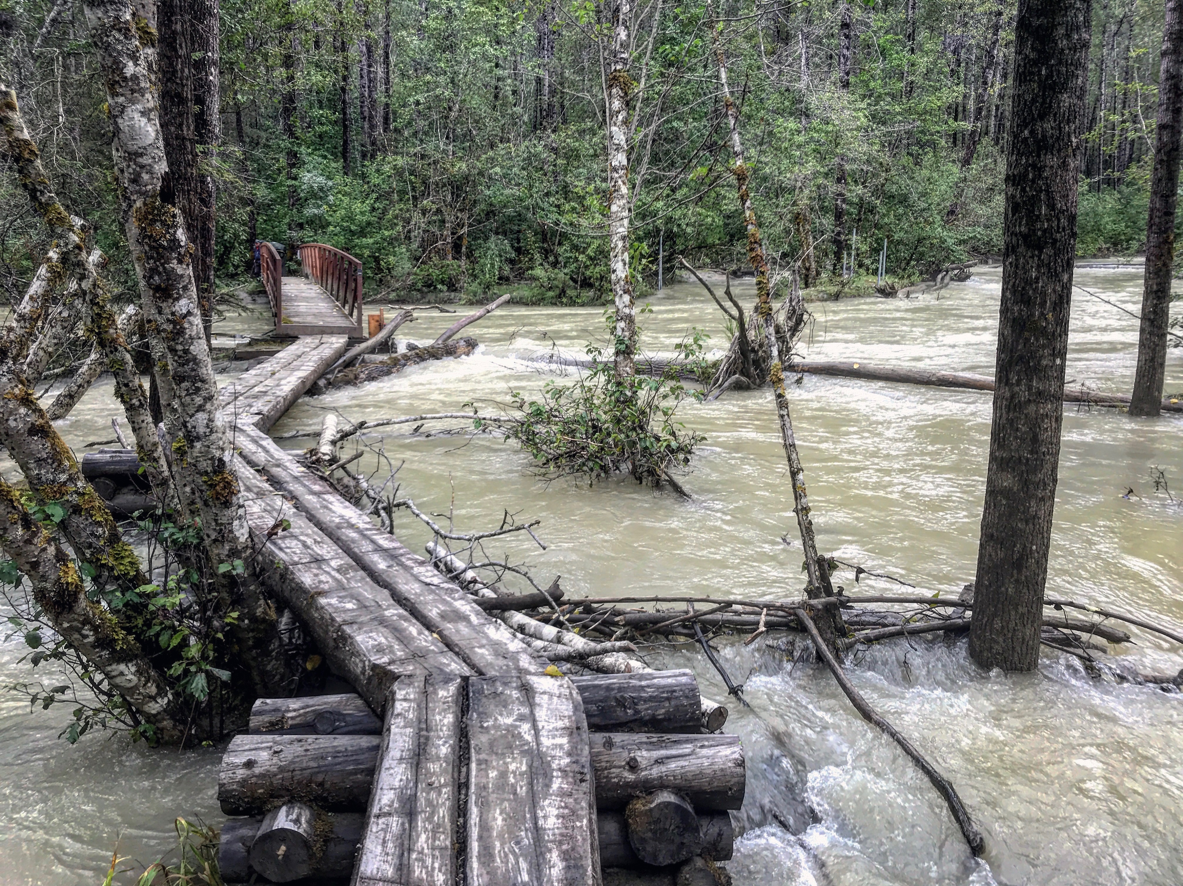 Boardwalk on the Chilkoot Trail