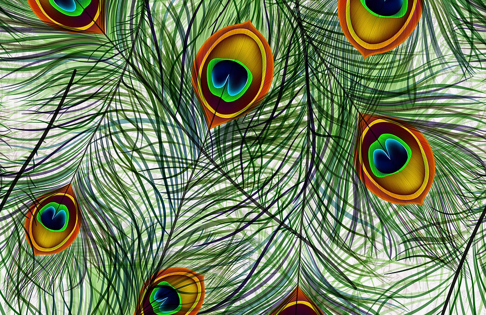 SF Exclusive Scattered Feathers