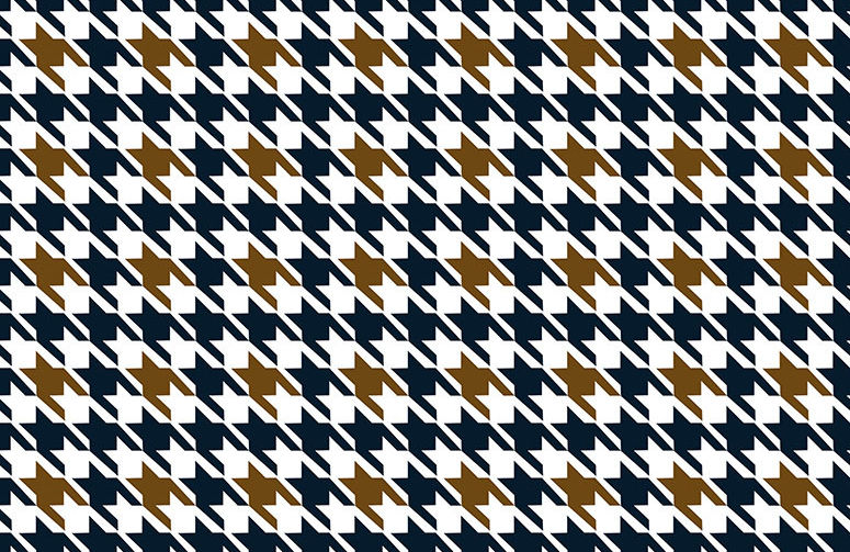 SF Exclusive Winter Dawn