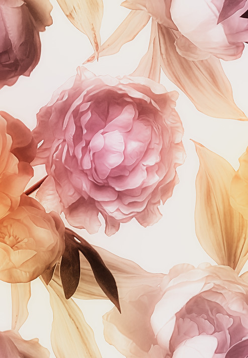 SF Exclusive Angel Peony