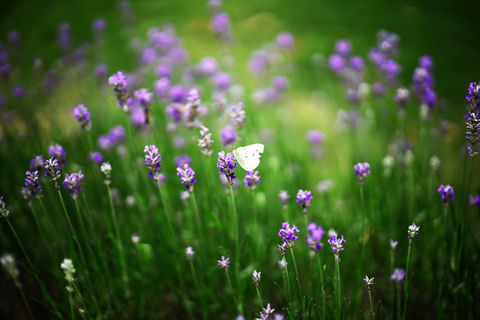 Fotografie Neugeborene Baby Kinder Familie Foto Babyfotografie Fotograf Babyfoto Familienfoto Babybauchfoto Fotoshooting Fotostudio Ottobrunn Neubiberg Putzbrunn Riemerling Hohenbrunn Unterhaching Taufkirchen Vaterstetten Haar Neuperlach Fotostudio Babybauch Newborn photoshoot shooting babyshooting foto fotostudio pep weihnachtsshooting Fotografie Neugeborene Baby Kinder Familie Foto Babyfotografie Fotograf Babyfoto Familienfoto Babybauchfoto Fotoshooting Fotostudio Ottobrunn Neubiberg Putzbrunn Riemerling Hohenbrunn Unterhaching Taufkirchen Vaterstetten Haar Neuperlach Fotostudio Babybauch Newborn photoshoot shooting babyshooting foto fotostudio pep weihnachtsshooting