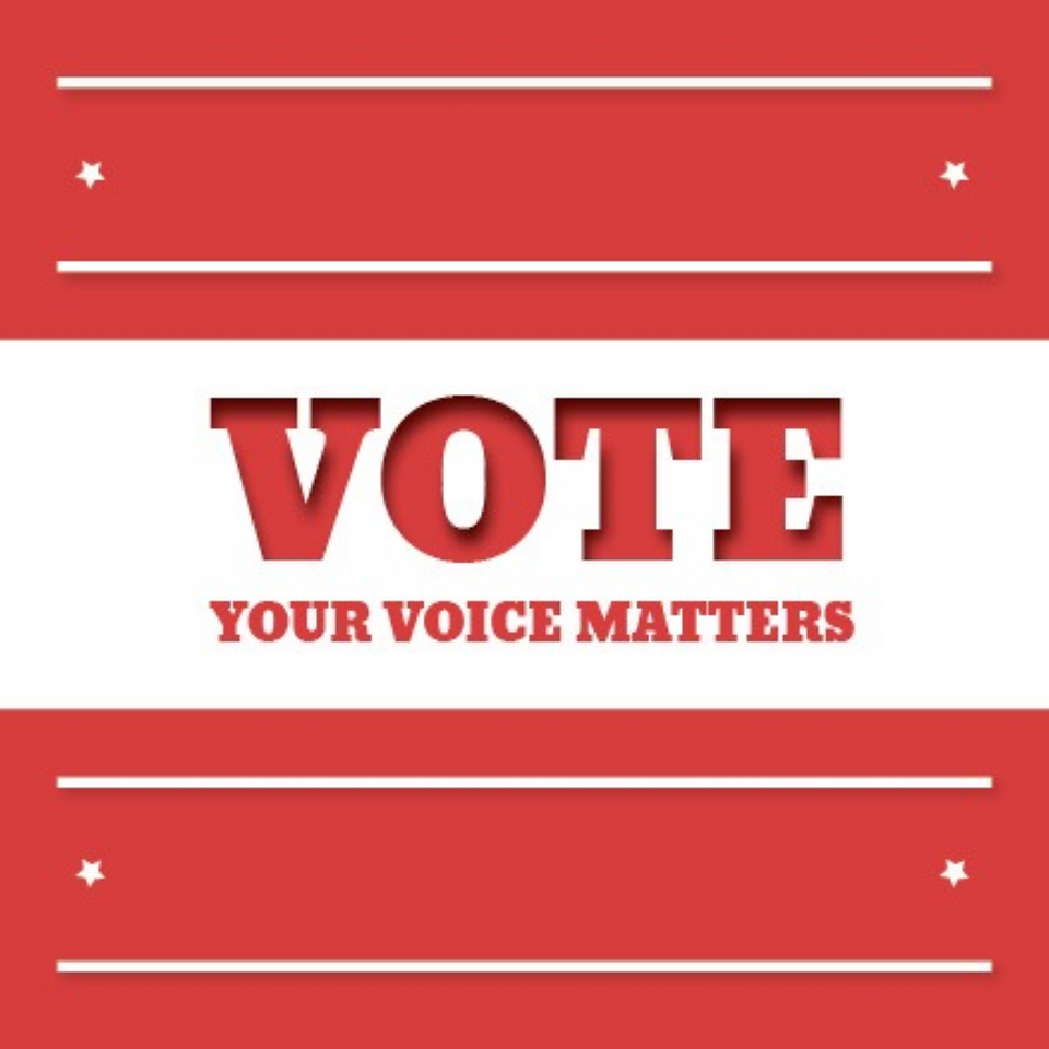 vote in the 2020 election social media post