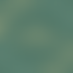 Happy Thanksgiving post template on green background with gold and green leaves