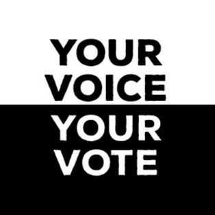 Your voice your vote Instagram post template