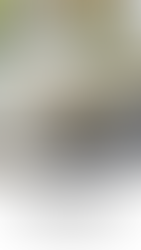 Holiday super sale social media template with wrapped gifts under a Christmas tree