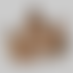 Autumn leaf template with maple leaf for social media