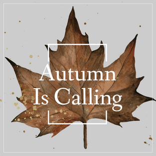 Autumn leaf template with maple leaf for social media