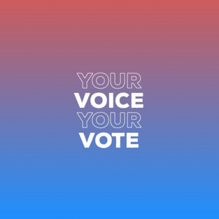 vote your voice