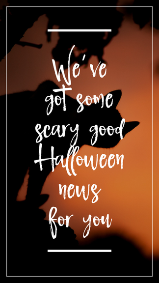 Halloween Instagram story or Facebook story orange and black story template with black cat
