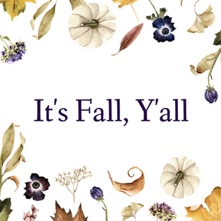 Fall social media template with autumn leaves, dried flowers, and pumpkins on a white background