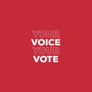 vote your voice