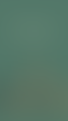 Thanksgiving story template for Instagram stories and Facebook stories teal with orange and brown fall leaves
