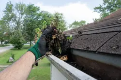 remove-leaves-debris-from-gutters