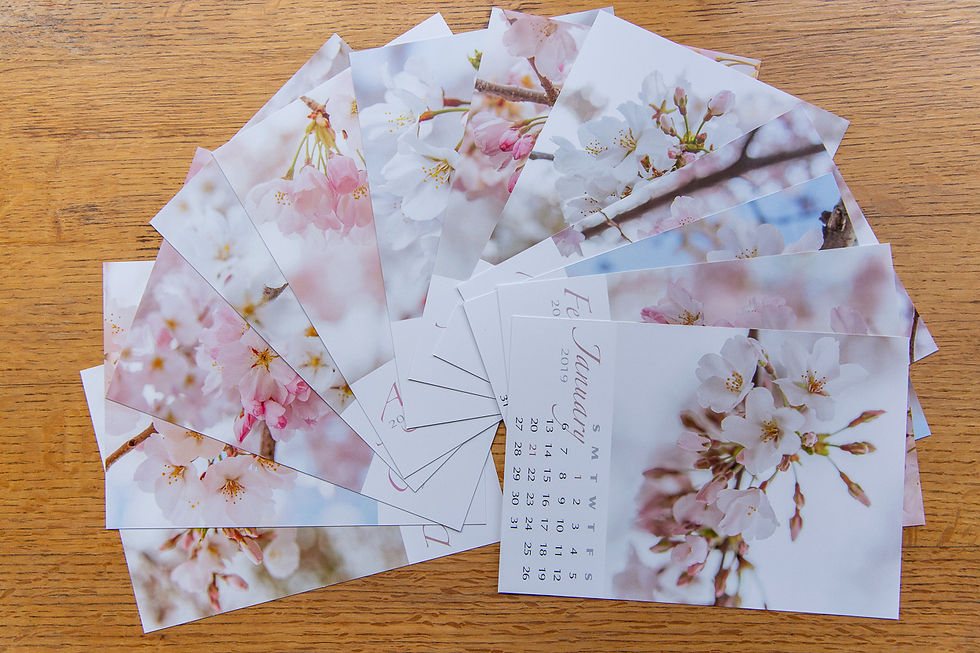 2019 Cherry Blossom Desk Calendar loose pages fanned out on a desk.