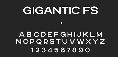 Screenshot 2025-02-19 at 7.02.38 p.m..png