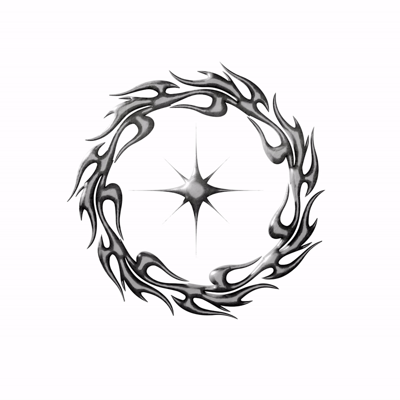 StarVideo-ezgif.com-video-to-gif-converter.gif