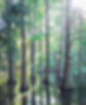 IMG_5281.jpeg