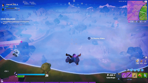 image17.gif