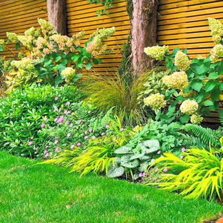 Right hand border with lush planting