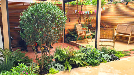 A clever small garden in Chiswick with a low pergola, Dutch pavers and lush planting - proof that limited space can still feel luxurious.