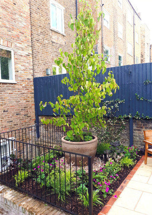 hammersmith20feature20pot20_editedjp