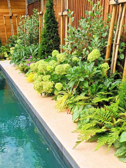 Pool garden border with planting