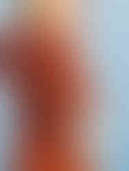 Myrna wrap top burnt orange