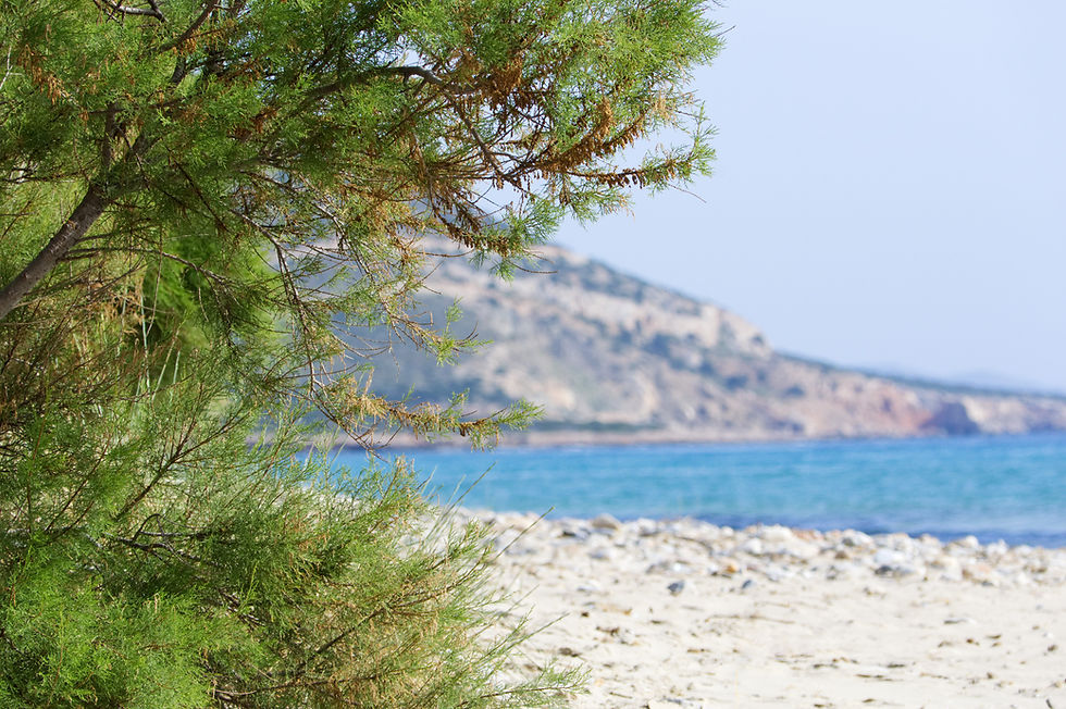 Agiassos beach, Naxos