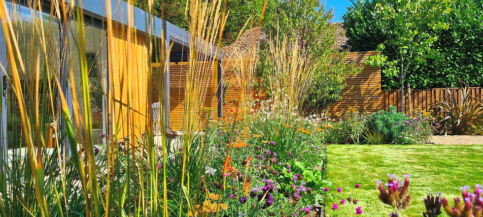 Modern garden with vibrant flowers and tall grasses near a wooden house under a clear blue sky. Lush foliage and sunlight create a serene setting.