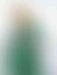 Myrna cupro blouse in soft green - Stylecamp