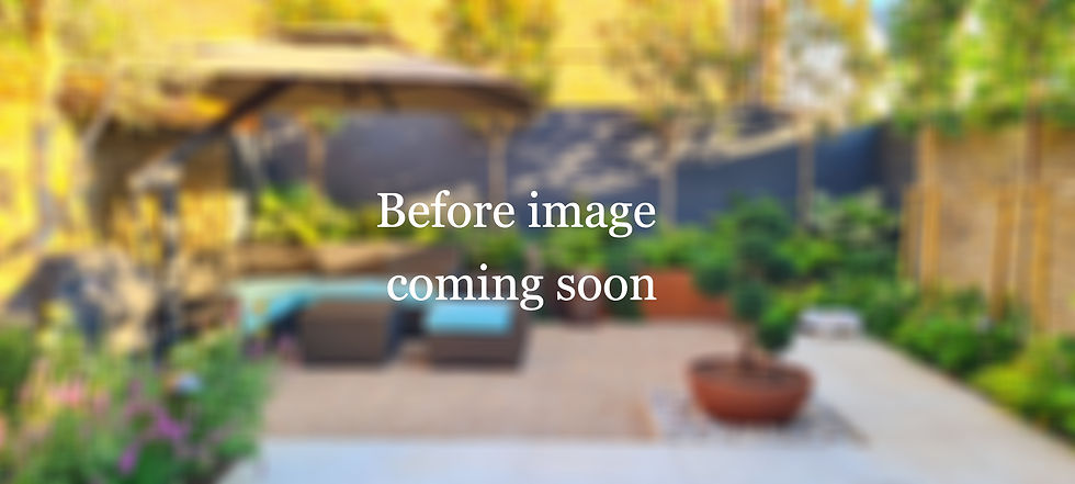 Before image coming soon