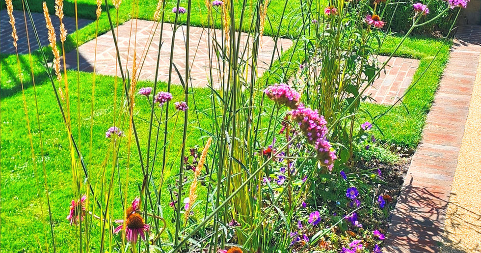 Driveway edge planting