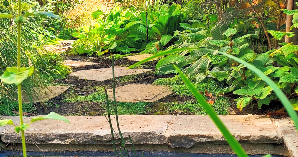 Kids wildlife garden with pond